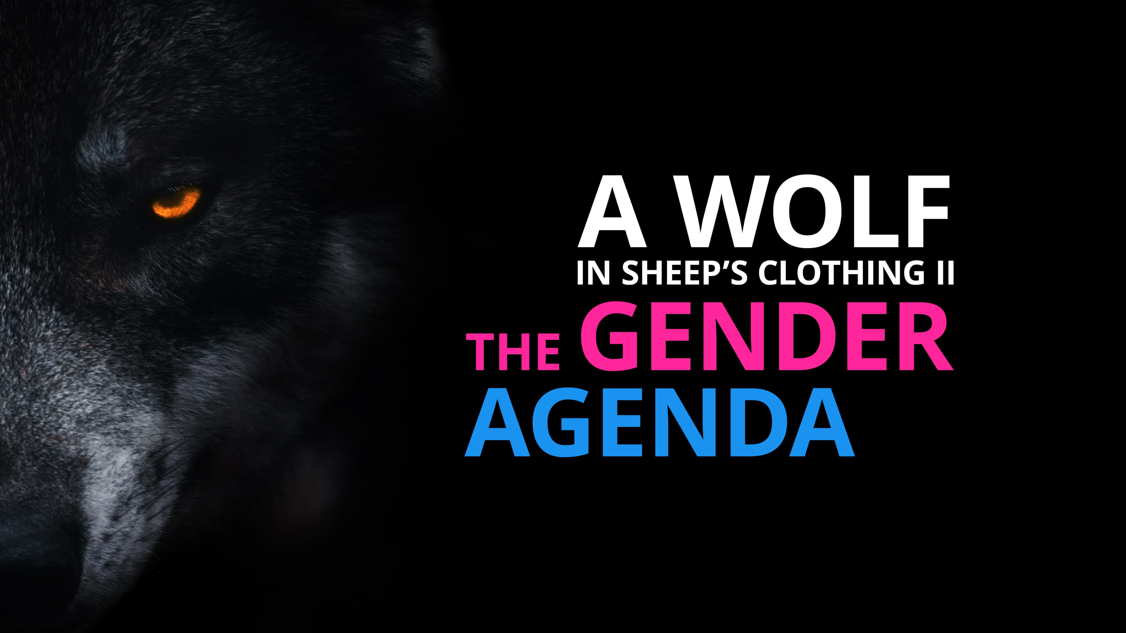 A Wolf in Sheep’s Clothing II- the Gender Agenda