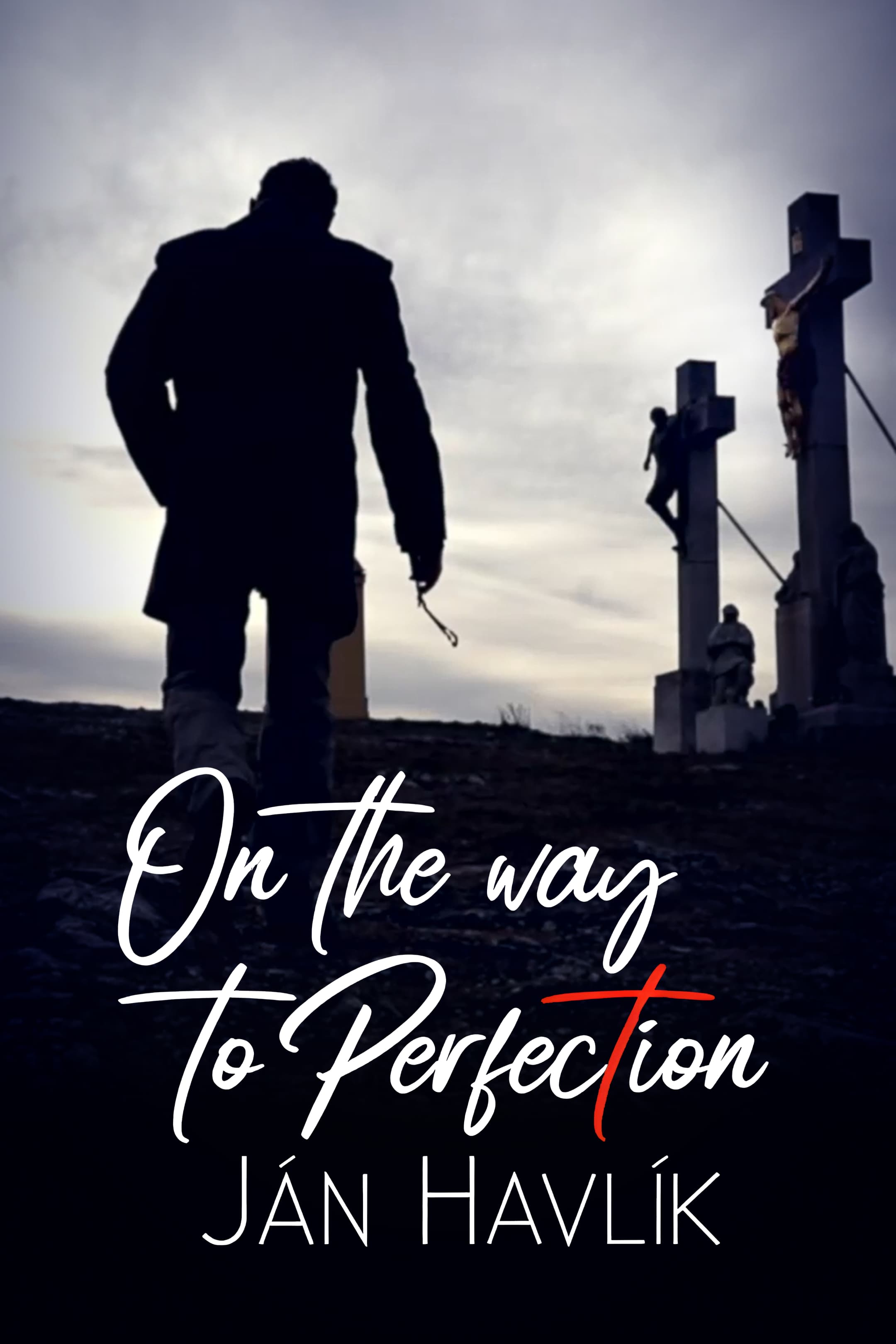 On the Way to Perfection- Jan Havlik
