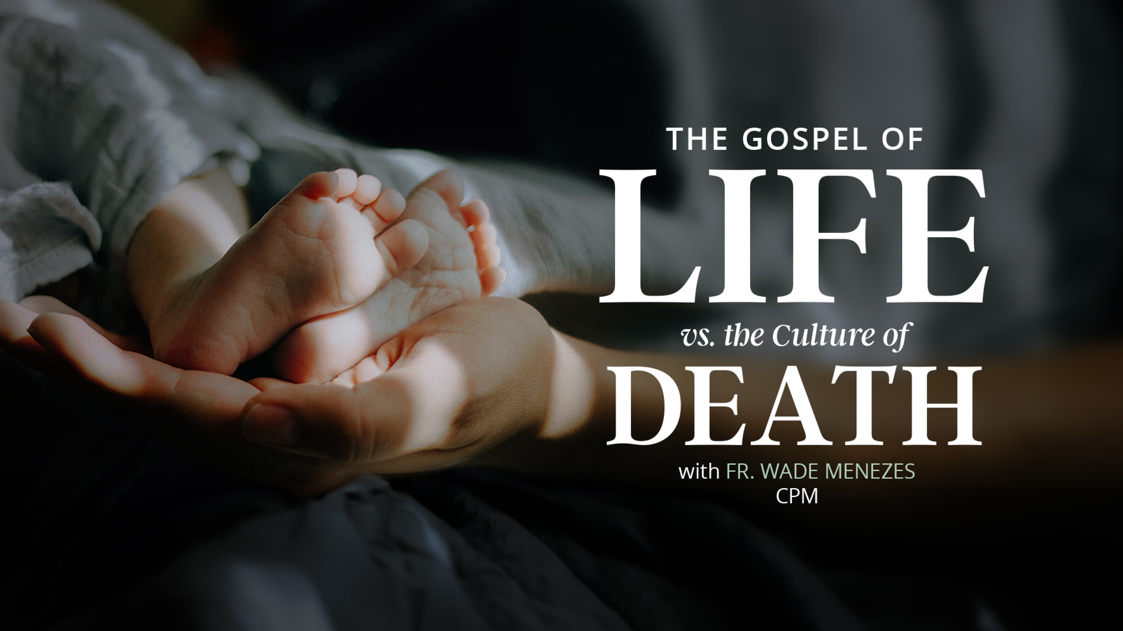The Gospel of Life Vs. the Culture of Death