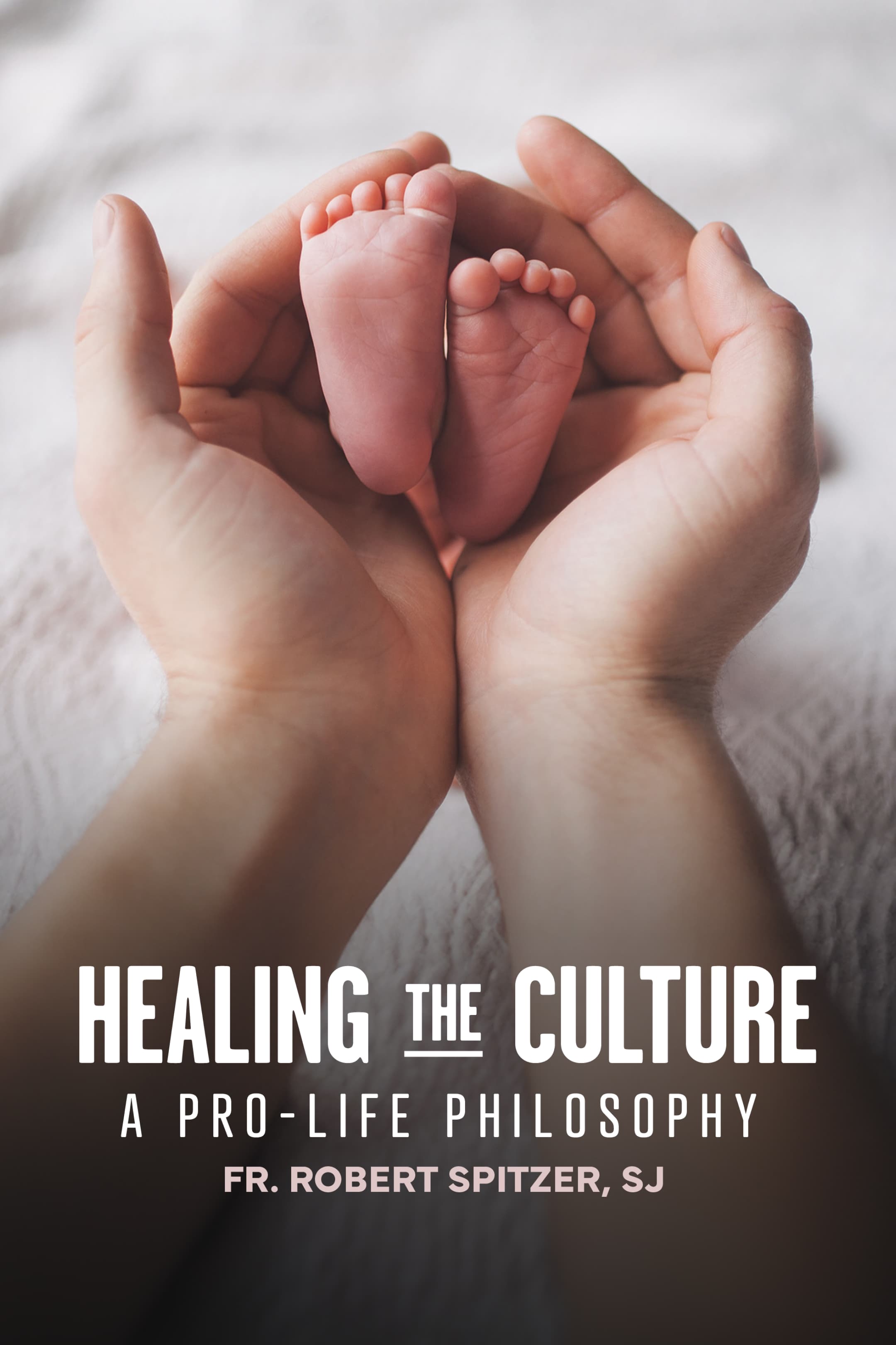 Healing the Culture: a Pro-Life Philosophy