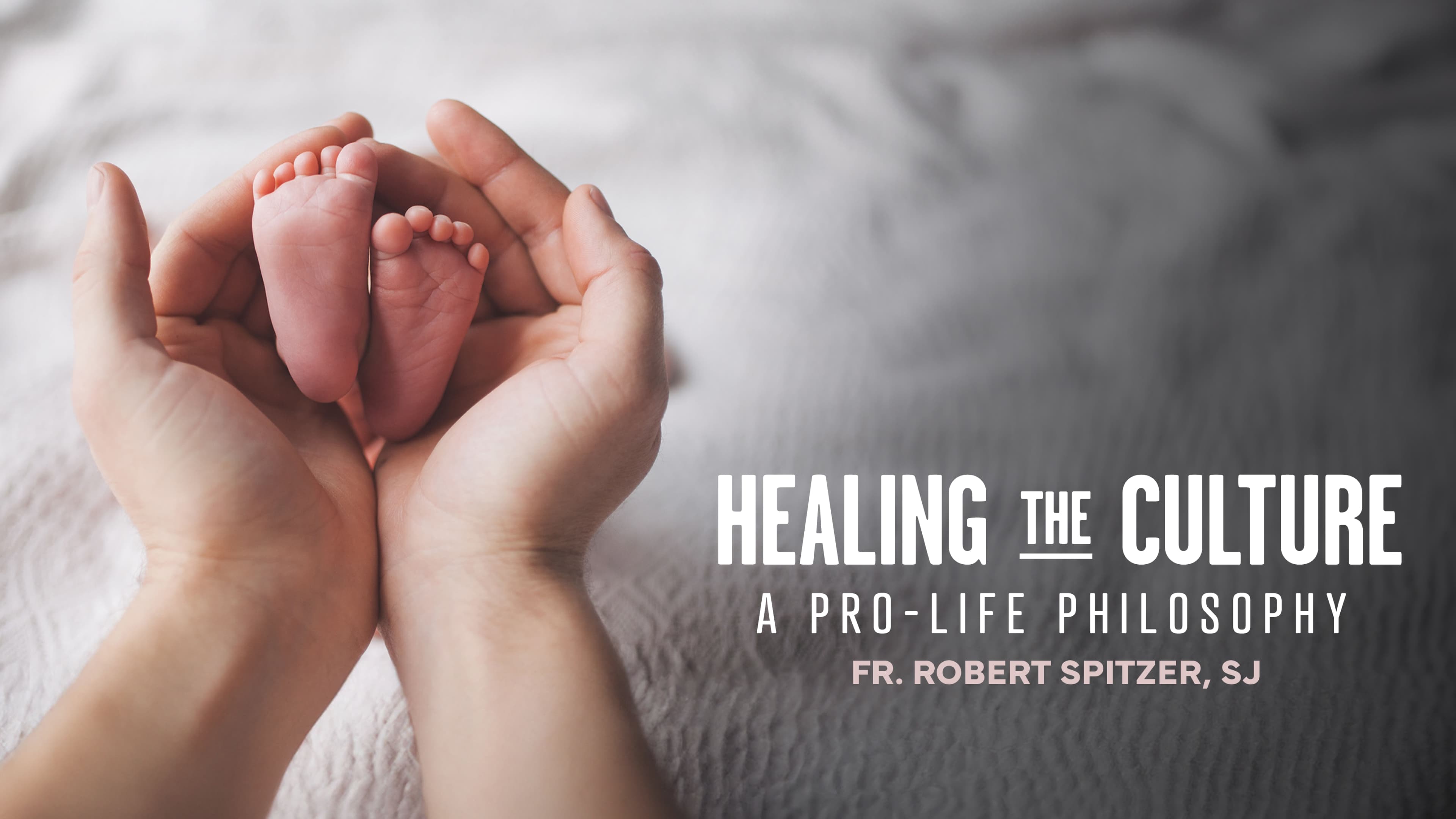 Healing the Culture: a Pro-Life Philosophy