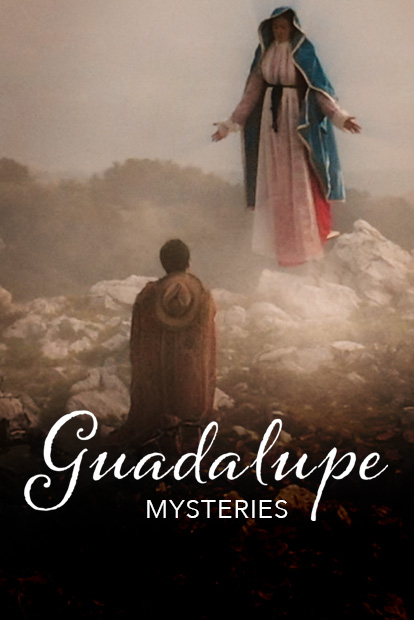 Guadalupe Mysteries