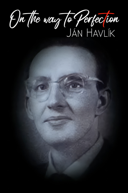 ON THE WAY TO PERFECTION- JAN HAVLIK
