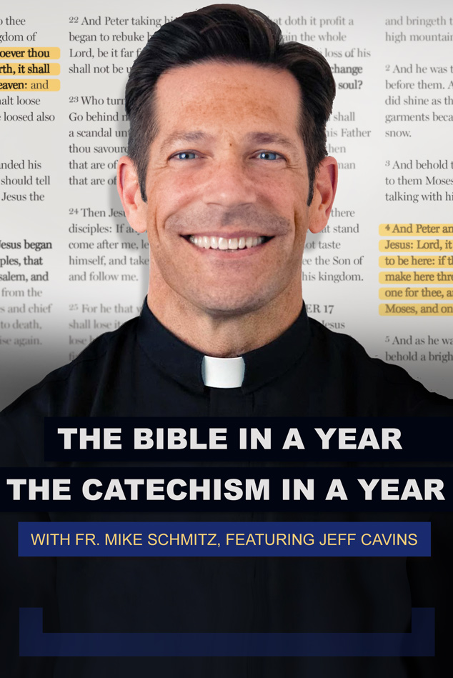 Bible in a Year / Catechism in a Year