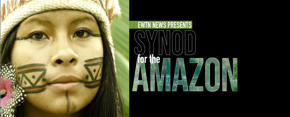 Synod for the Amazon