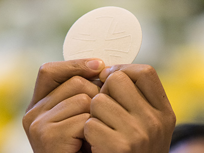 Lourdes: United in Prayer